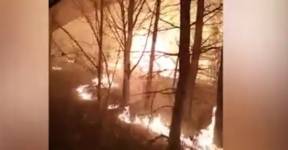Россиянин проехал сквозь «ад» лесных пожаров под Иркутском и снял это на видео