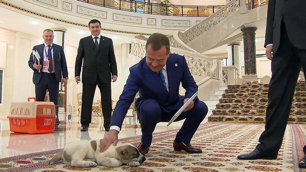 Как у Путина! Медведеву сделали оригинальный подарок