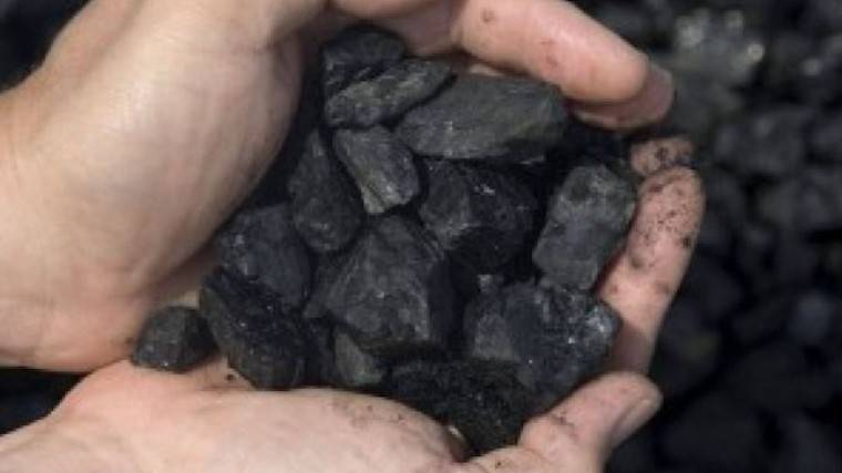 Суд обязал компанию Босова выплатить 600 миллионов рублей штрафа за&nbsp;незаконную добычу угля