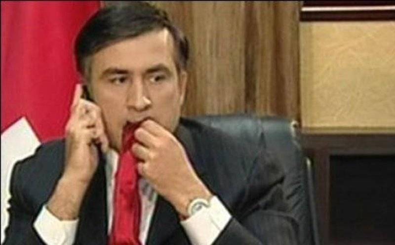 Саакашвили похвастался немцам, как «уделал» российских журналистов и Путина | Политнавигатор