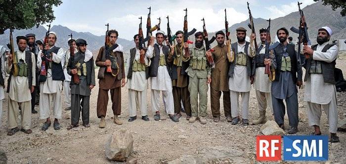 В "Талибане" заявили, что территория Афганистана не будет использоваться против России