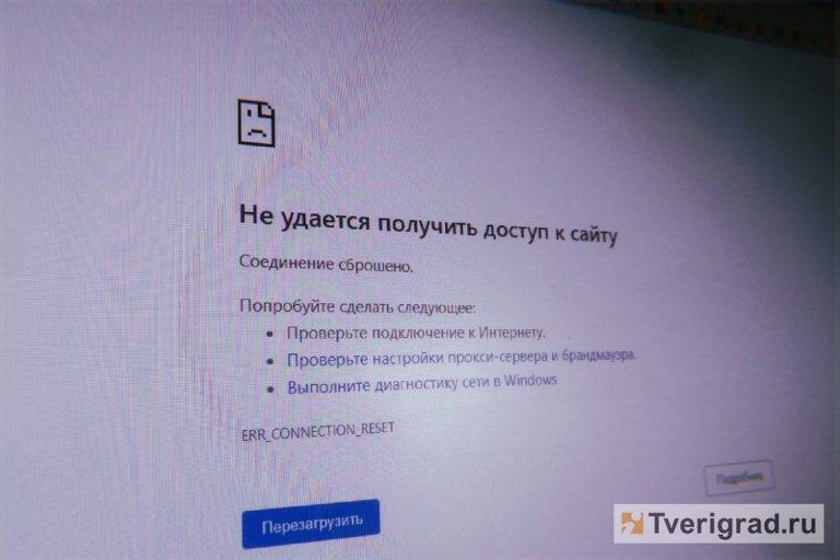 Два сайта с поддельными удостоверениями Росгвардии, прокуратуры и МВД закрыли в Тверской области