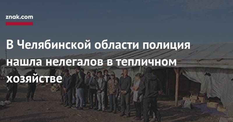 В&nbsp;Челябинской области полиция нашла нелегалов в&nbsp;тепличном хозяйстве