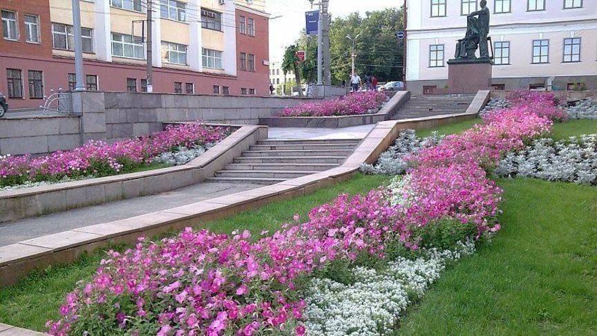 Ко Дню города в Кирове высадят 170 тысяч цветов