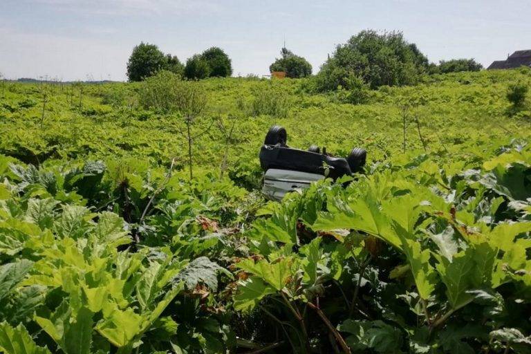 В Тверской области легковушка зацепила обочину и вылетела в кювет, два человека пострадали