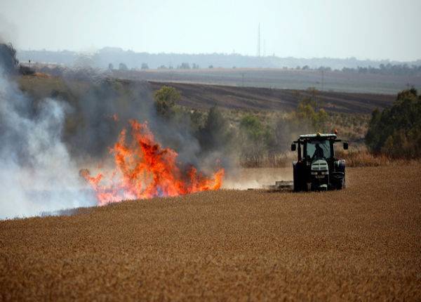 Террор воздушных шаров продолжается: пожары полыхают в лесах и полях Израиля