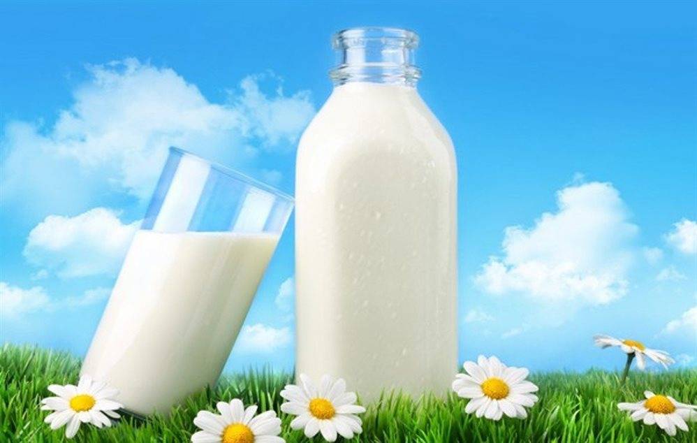 Всемирный день молока отметят в Ульяновской области 12 июня