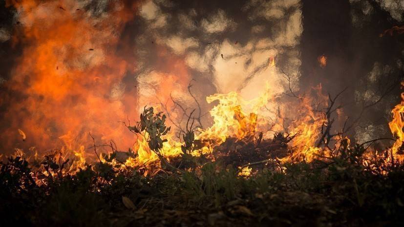 Спасатели предупредили о высокой пожароопасности в Башкирии