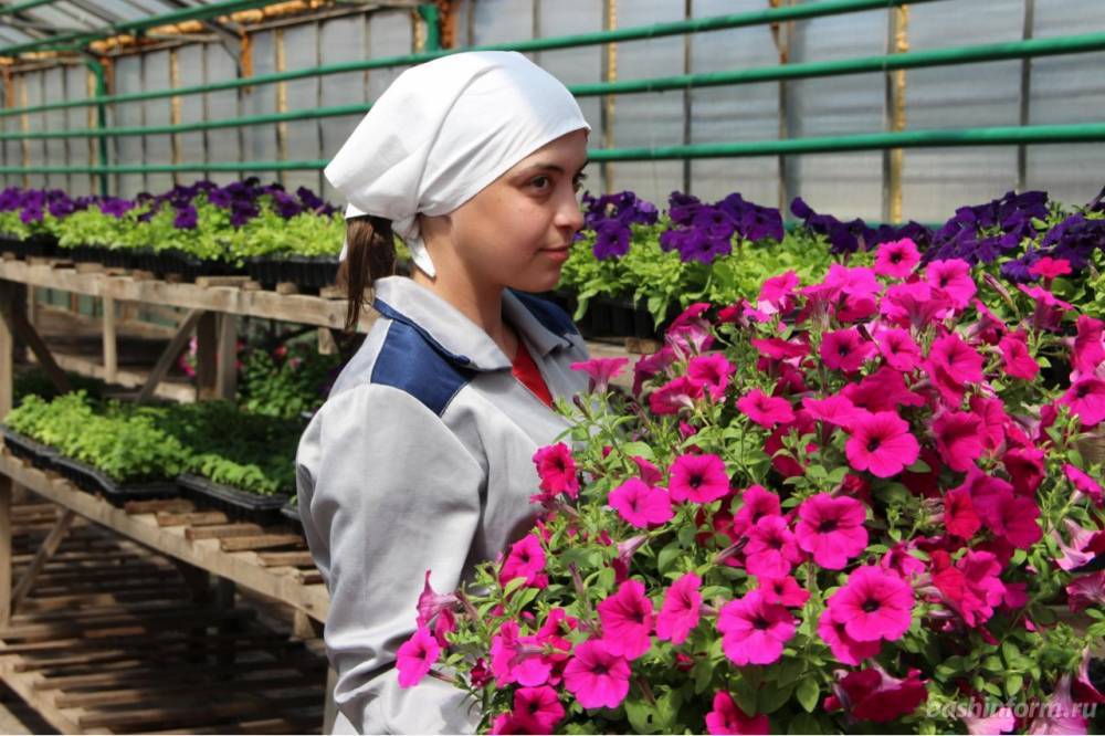 Клумбы Стерлитамака украсят более 90 тысяч цветов, выращенных в женской колонии-поселении