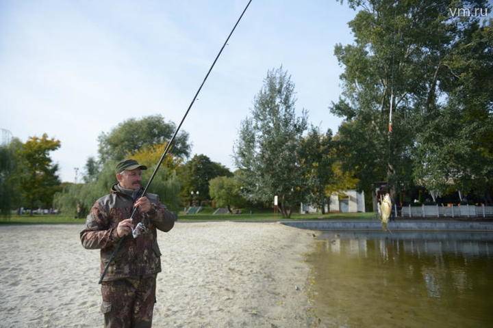 Сезон рыбалки по новым правилам открыли в России