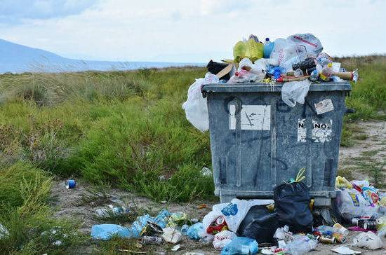 За неправильно выброшенный мусор оштрафуют на 200 тысяч рублей