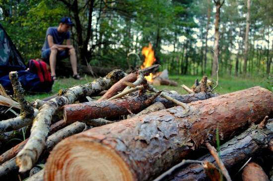 Штрафы за разведение лесных костров в зоне ЧС вырастут до 500 тысяч рублей