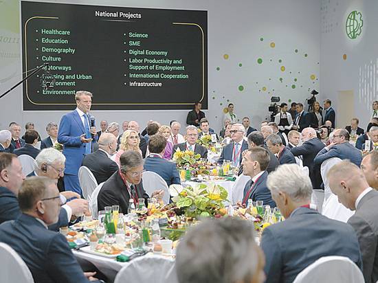 Итоги ПМЭФ-19: почему в России не идут структурные реформы