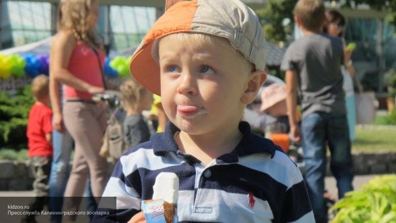 Россияне назвали самое любимое мороженое