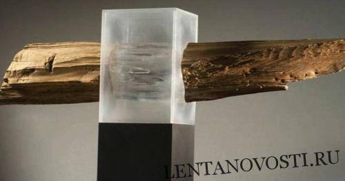 Ученые представили миру прозрачную древесину
