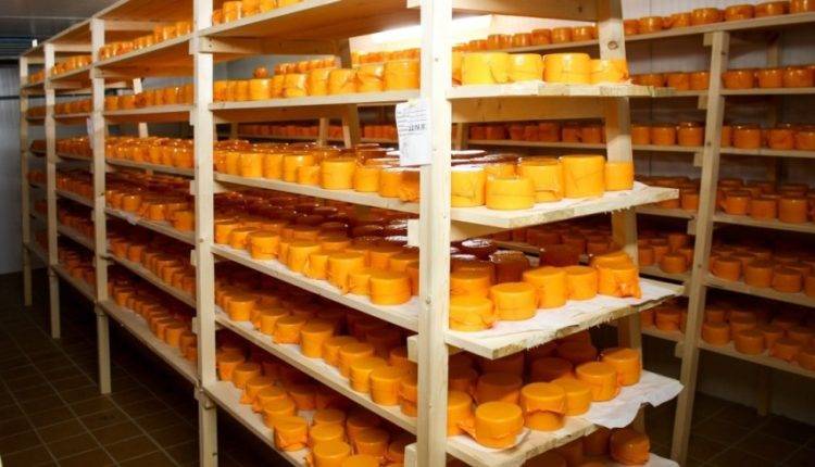 «Липовые» деликатесы: на Ставрополье изъяли 50 тонн контрафактного сыра