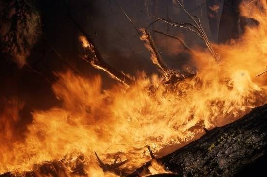 В МЧС указали на проблему тушения ландшафтных пожаров