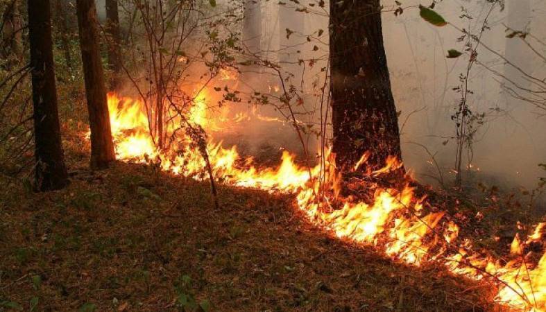 Десантники тушили лесные пожары в двух районах Карелии