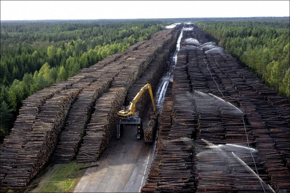 Вывоз российского леса в Китай предложили освободить от налогов