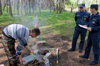 Власти Подмосковья рассказали о профилактике лесных пожаров