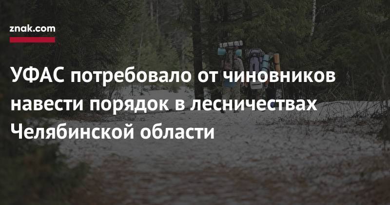 УФАС потребовало от&nbsp;чиновников навести порядок в&nbsp;лесничествах Челябинской области