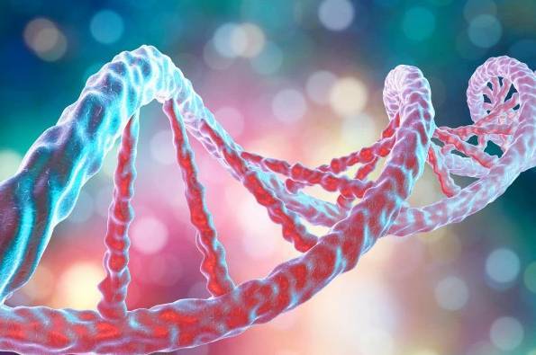 Ученые детализируют генетический код детей с необъяснимыми врожденными заболеваниями
