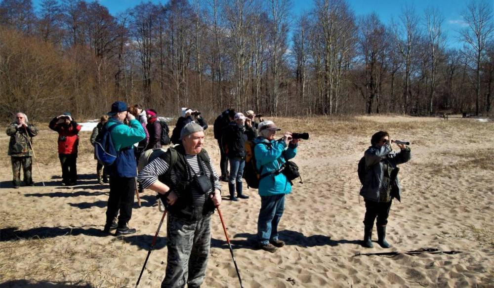 Петербуржцев приглашают на экологические экскурсии по заказнику «Западный Котлин»
