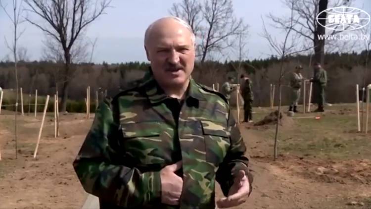 Лукашенко рассказал, как нужно проводить выборы
