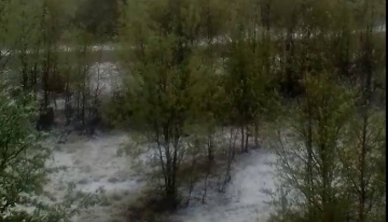 Время для июньских снеговиков: в Мурманской области выпал снег