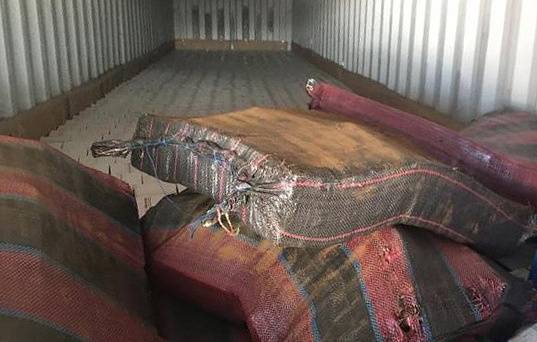 В петербургском порту нашли 400 кг кокаина из Эквадора
