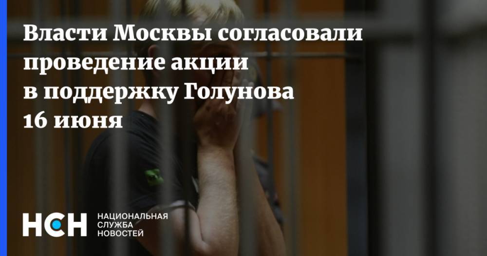 Власти Москвы согласовали проведение акции в поддержку Голунова 16 июня