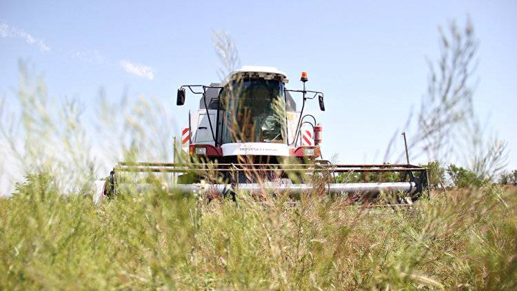 Битва за урожай: крымские аграрии могут остаться без комбайнов