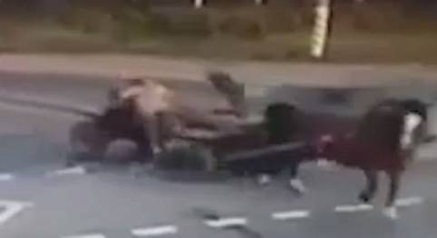 Автомобиль протаранил повозку с лошадью в Чувашии