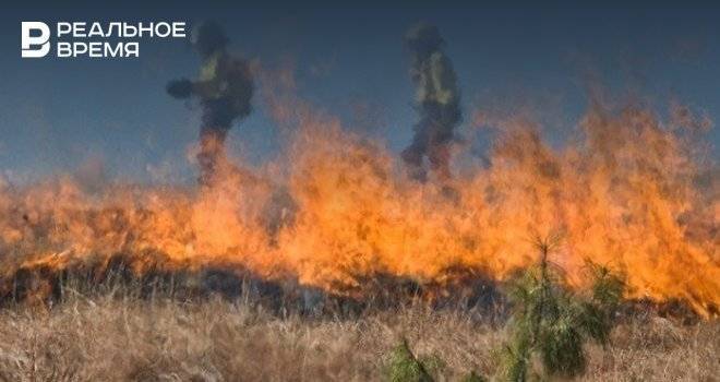 В Татарстане ожидается высокая пожарная опасность лесов с 12 по 17 июня