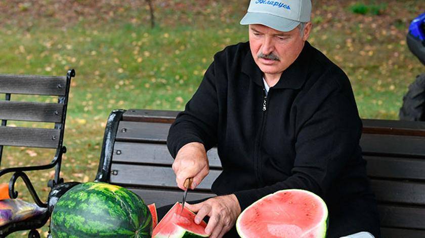 Лукашенко призвал "привести в чувство" белорусских синоптиков