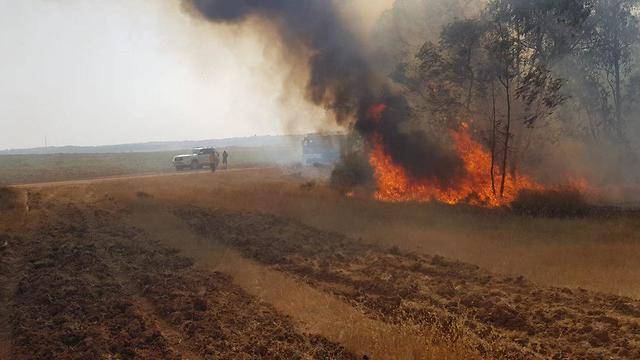 Огненный террор на юге Израиля: семь пожаров за один день