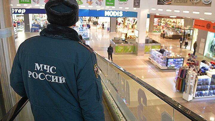 Сотрудников МЧС России наделят дополнительными полномочиями при проведении надзора за объектами с массовым пребыванием людей