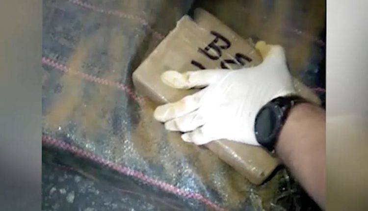 В порту Санкт-Петербурга нашли 400 кг кокаина из Эквадора