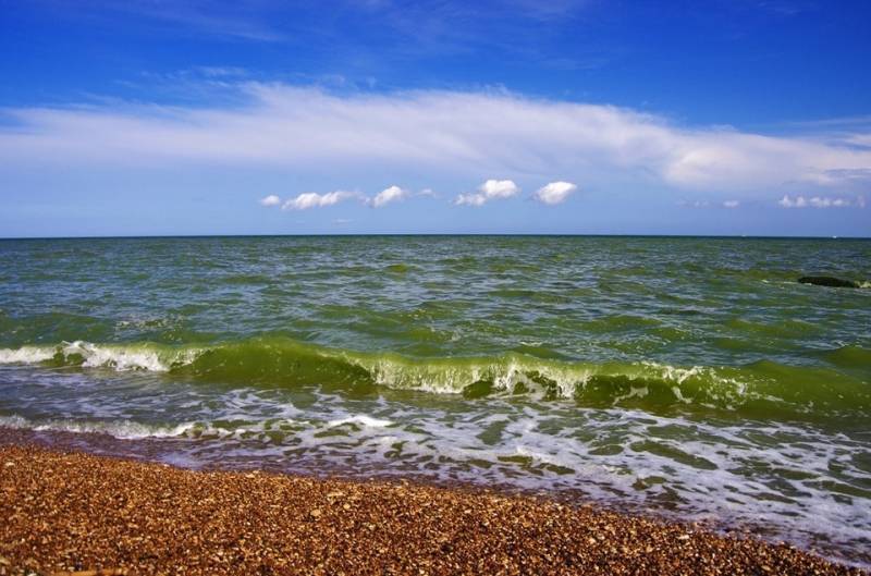 50 оттенков зеленого моря в Одессе: туристам купаться не советуют. ФОТО. ВИДЕО