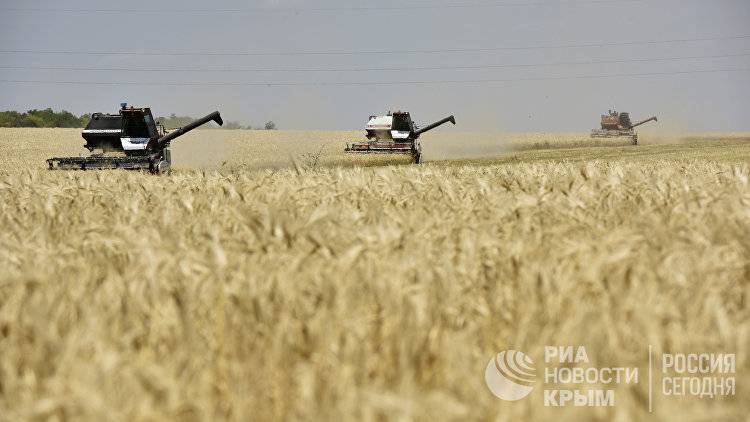 Крымская жатва: аграрии планируют собрать не менее 1,3 млн тонн зерна