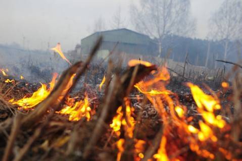 В Украине в ближайшие дни ожидается самый высокий уровень пожарной опасности