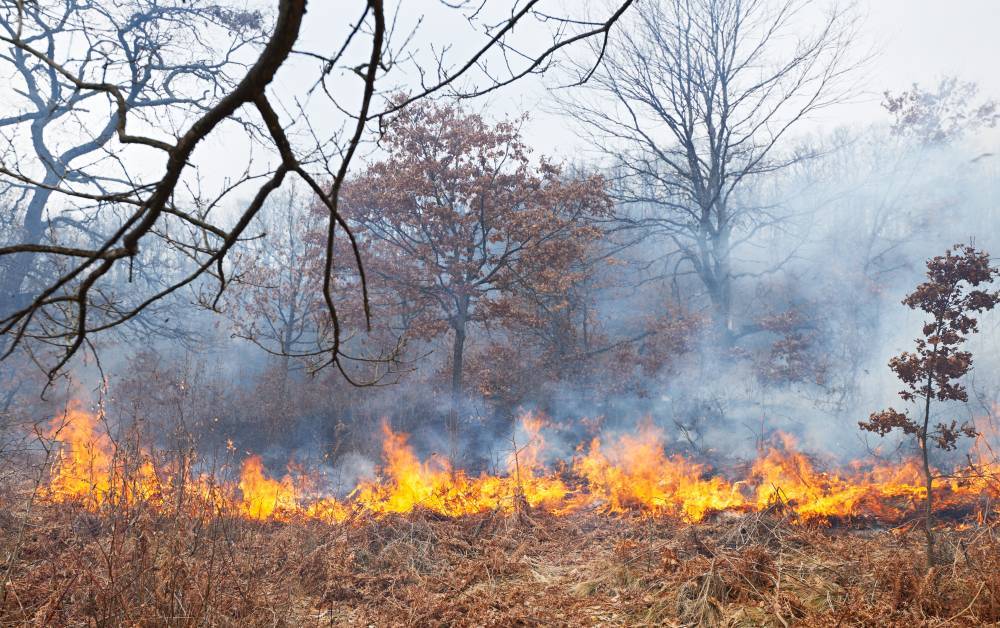 В районе Якутии введен режим ЧС из-за природного пожара