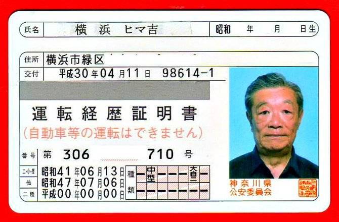 В&nbsp;Японии появятся особые «права» для стариков
