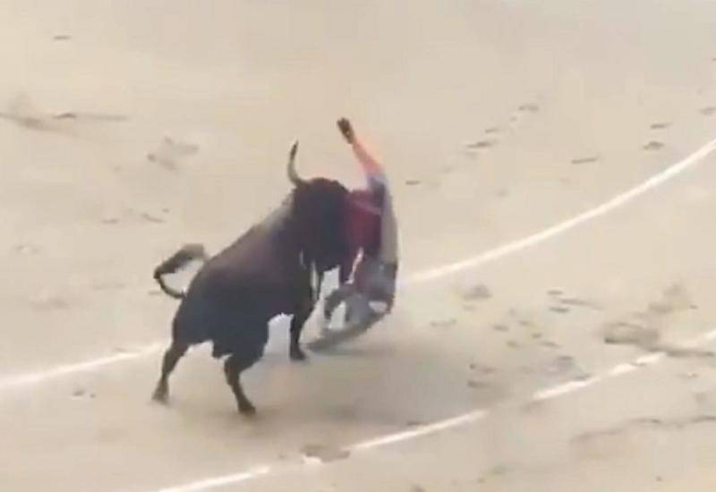 Видео: разъяренный бык "разделался" с тореадором на глазах зрителей в Испании (18+)