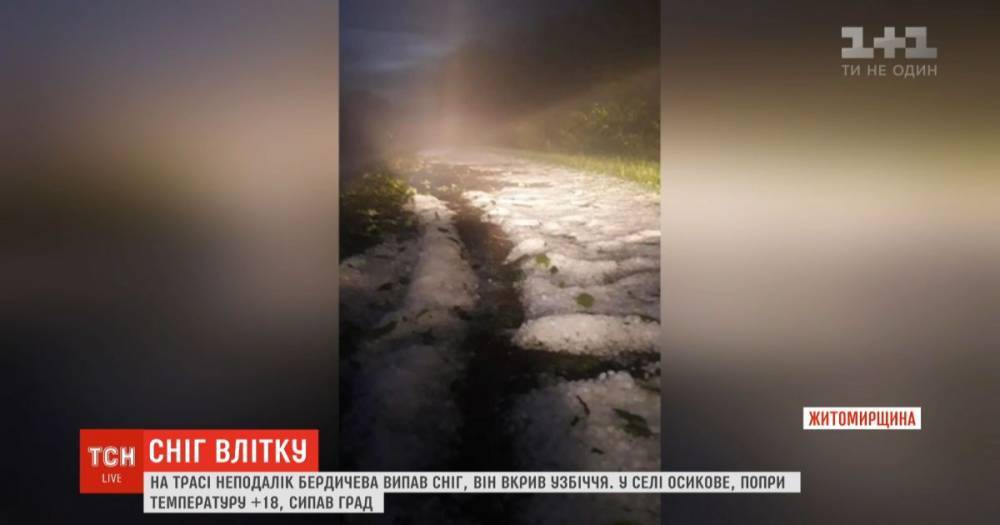 На Житомирщине неожиданно выпал снег - ru.tsn.ua - Украина - Житомирская обл.