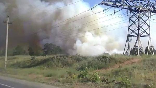 В Самарской области загорелся лес у железнодорожной станции Курумоч