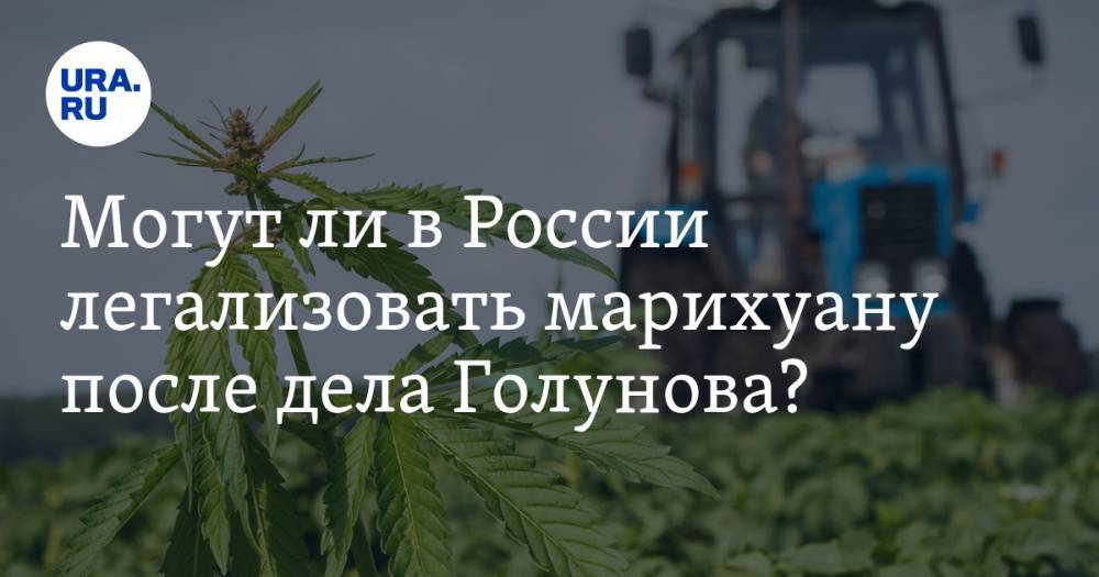 Могут&nbsp;ли в&nbsp;России легализовать марихуану после дела Голунова?