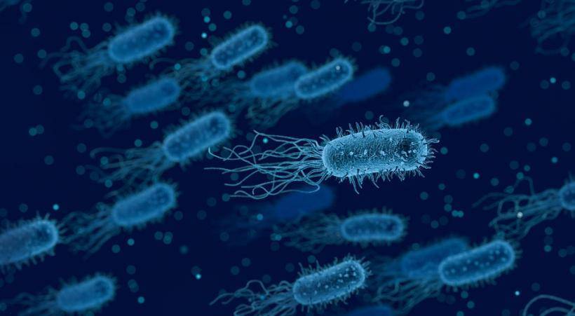 Учёные нашли способ находить вредоносные бактерии за несколько минут