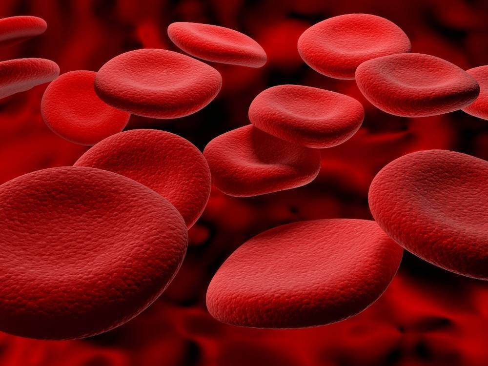 Учёным удалось создать универсальную донорскую кровь