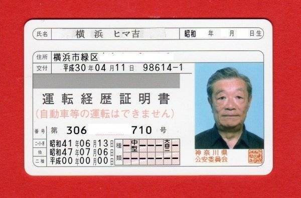 В Японии будут выдавть особые водительские права для пожилых людей